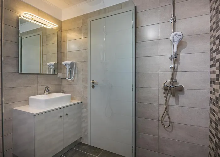 Metsovo Big Apts 公寓 *